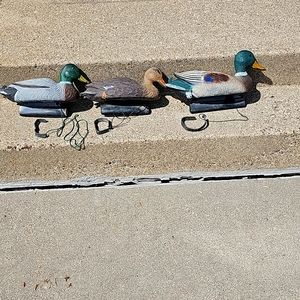 Used Duck Decoys